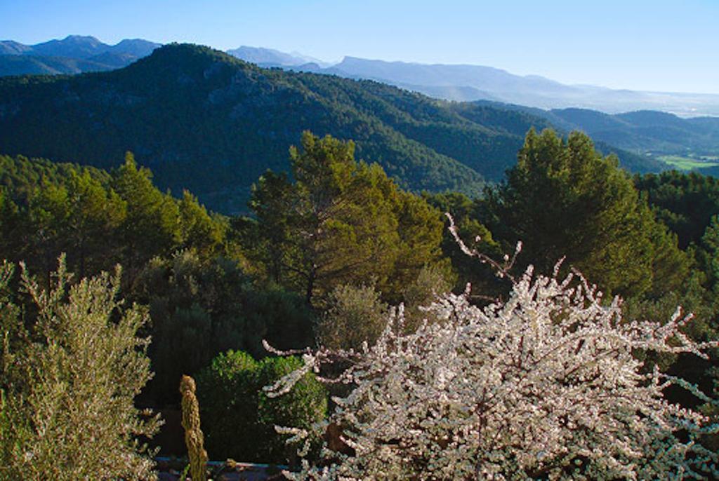 Loftotel Canet Esporles Luaran gambar