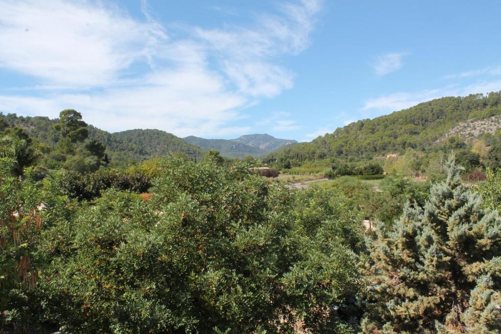 Loftotel Canet Esporles Bilik gambar